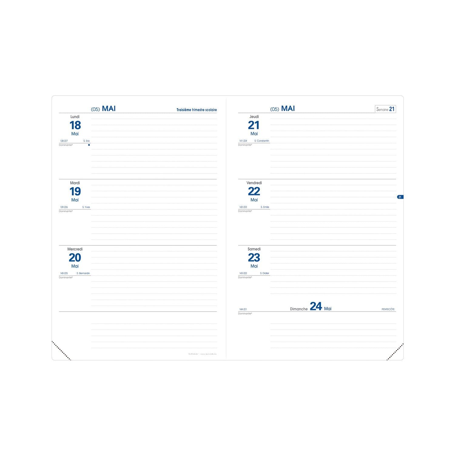 Agenda 2024-2025 QUO VADIS Texthebdo Impala - 1 semaine sur 2 pages - 16 x 24 cm - Bleu océan - 3371010481743