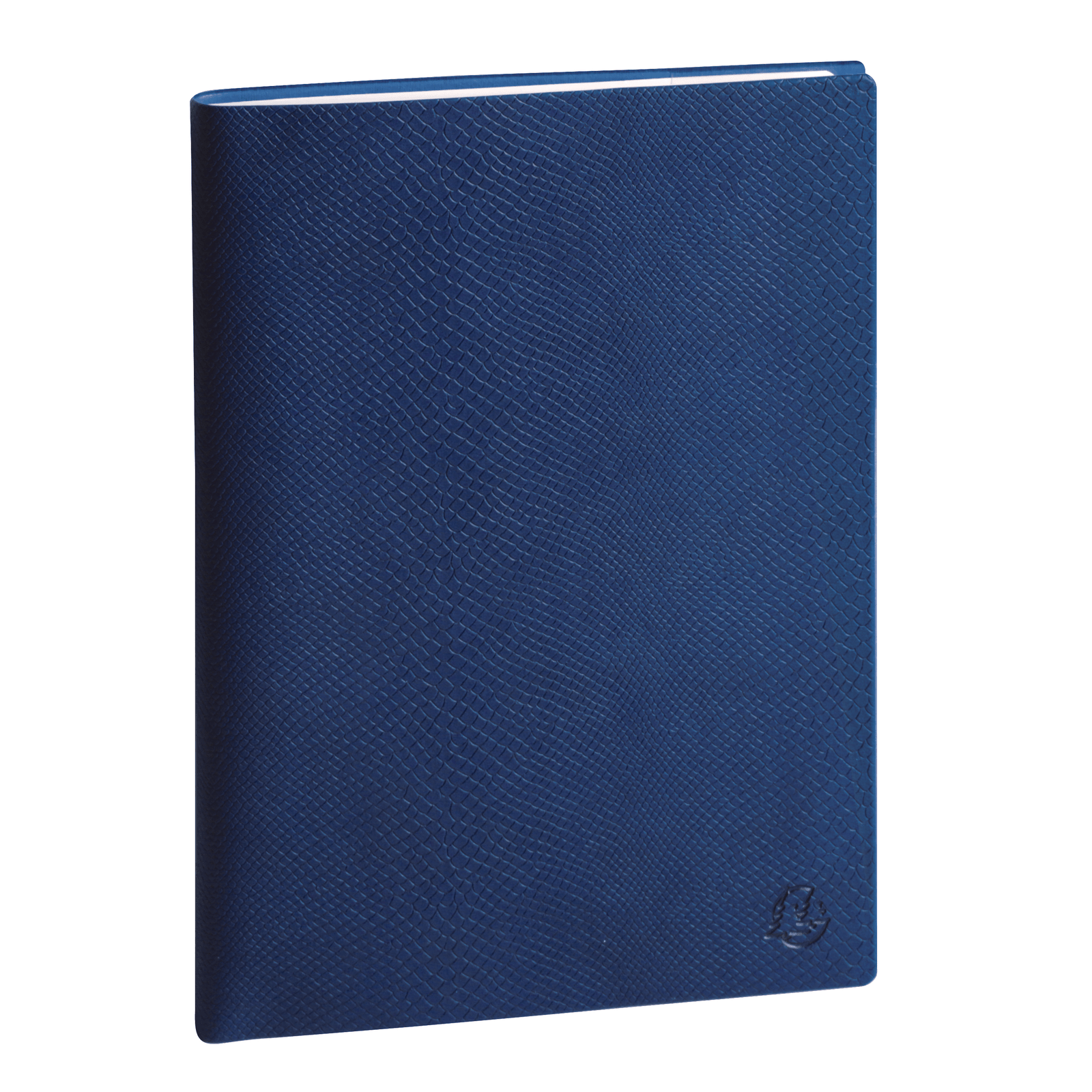 Agenda 2025 - 2026 EXACOMPTA SAD 22S - 18,5 x 22,5 cm - 1 semaine sur 2 pages - Orientation verticale - Kaa bleu - 3660942084536