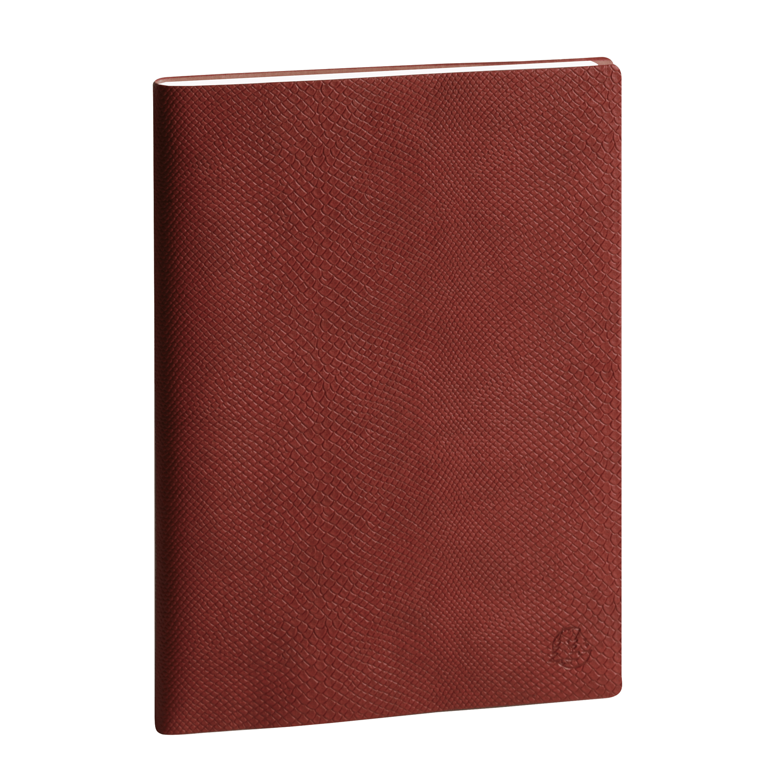 Agenda 2025 - 2026 EXACOMPTA SAD 22S - 18,5 x 22,5 cm - 1 semaine sur 2 pages - Orientation verticale - Kaa rouge - 3660942084536