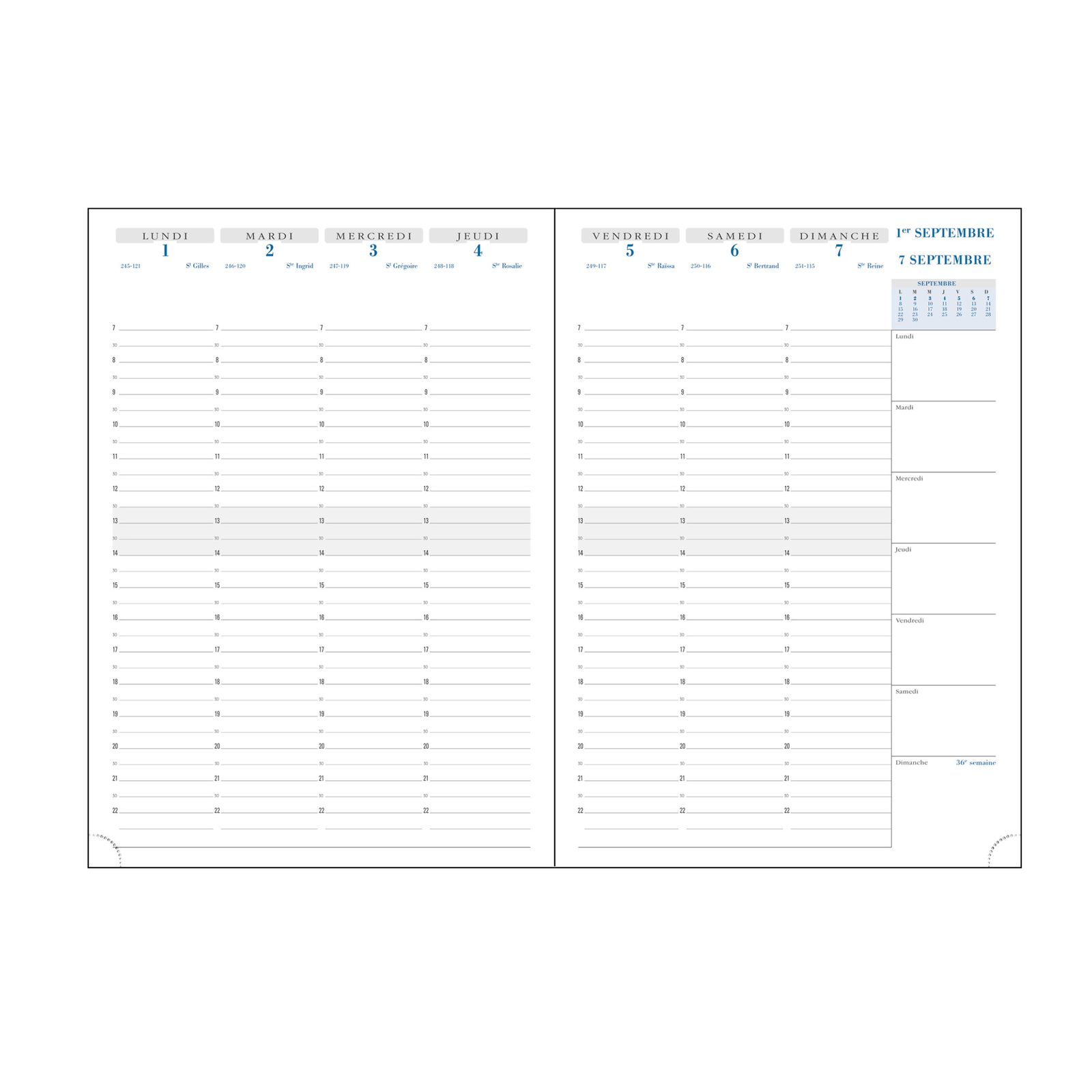 Agenda 2025 - 2026 EXACOMPTA SAD 29 - 21 x 29,7 cm - 1 semaine sur 2 pages - Orientation verticale - Vérone moutarde - 