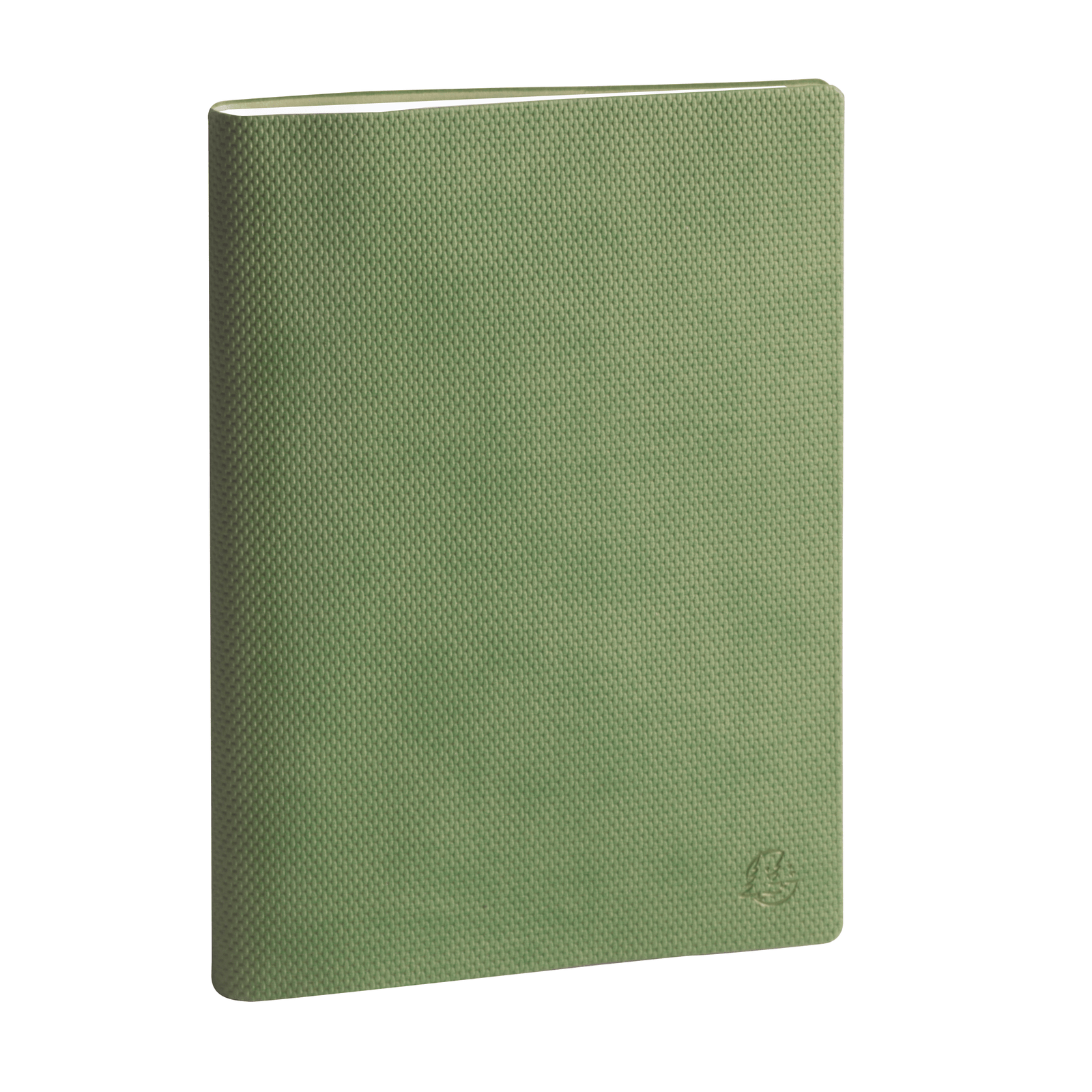 Agenda 2025 - 2026 EXACOMPTA SAS 20 Visuel 7 - 15 x 21 cm - 1 semaine sur 2 pages - Orientation verticale - Canvas vert - 3660942085007