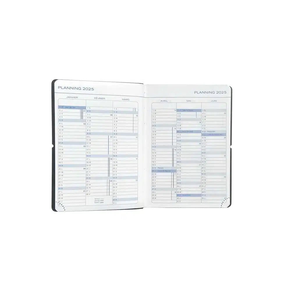 Agenda 2025 ÉPOPÉE Félicité - 1 semaine + notes - A6 - Fleurs Arty - 3760281971013