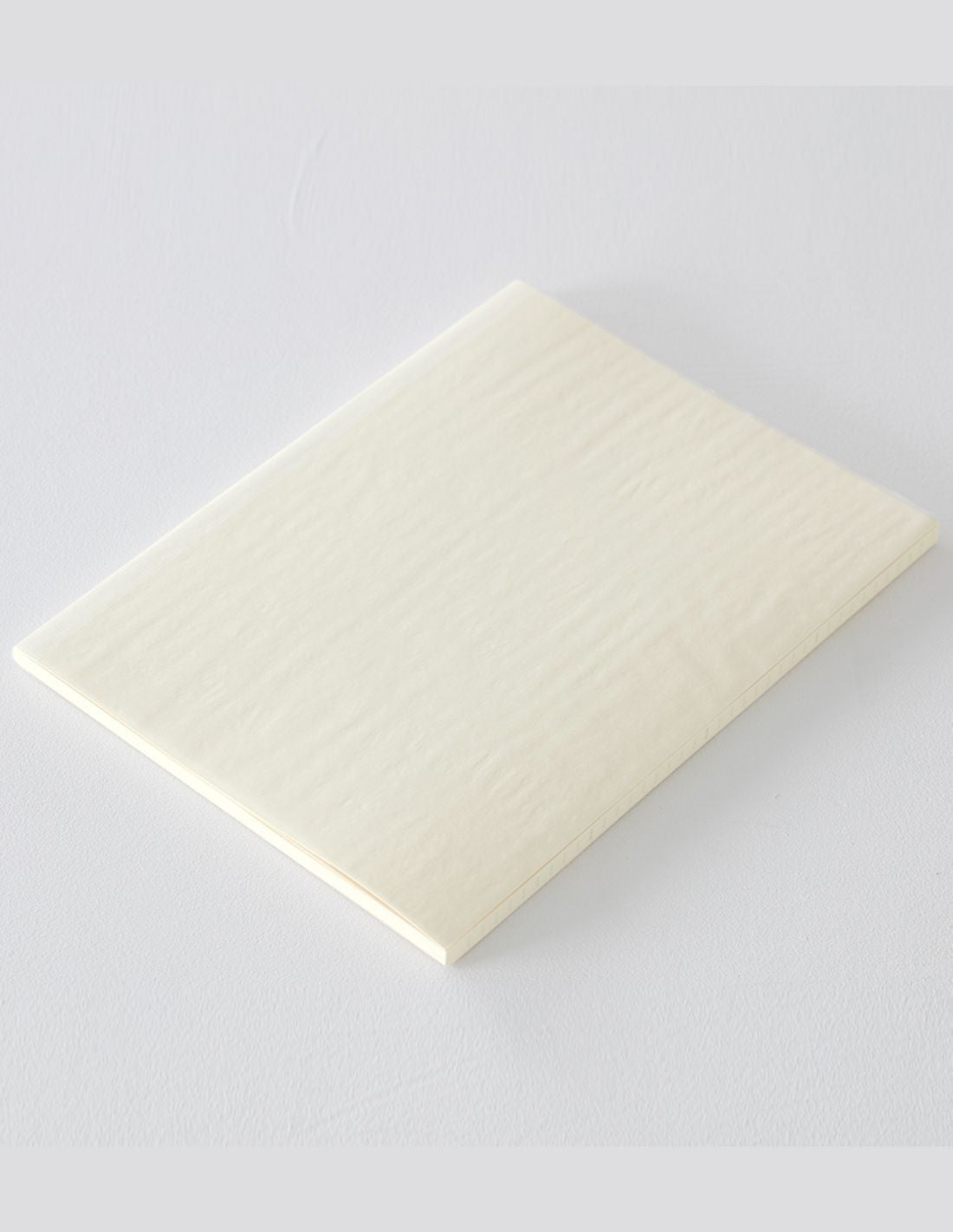 Agenda 2025 MIDORI MD PAPER Notebook Thin Diary - Mensuel - A4 - Blanc - 