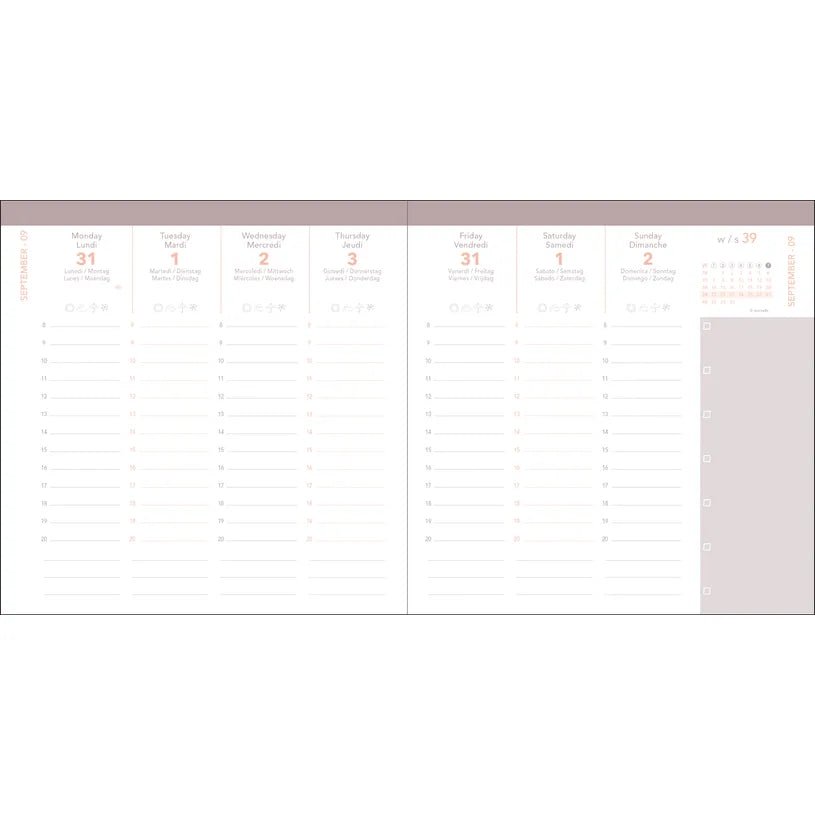 Agenda 2026 - 2027 QUO VADIS Exécutif Septembre Color - 16 x 16 cm - 1 semaine sur 2 pages - Orientation verticale - Pastel rose - 3371010543953