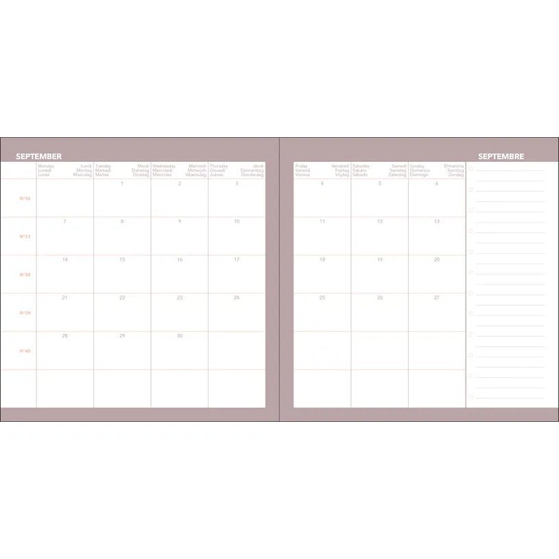 Agenda 2026 - 2027 QUO VADIS Exécutif Septembre Color - 16 x 16 cm - 1 semaine sur 2 pages - Orientation verticale - Pastel rose - 3371010543953