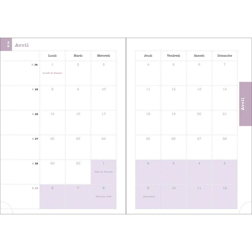 Agenda 2027 EXACOMPTA Lady 20 - 15 x 21 cm - 1 semaine + notes - Orientation horizontale - Alysse jaune - 3660942091251
