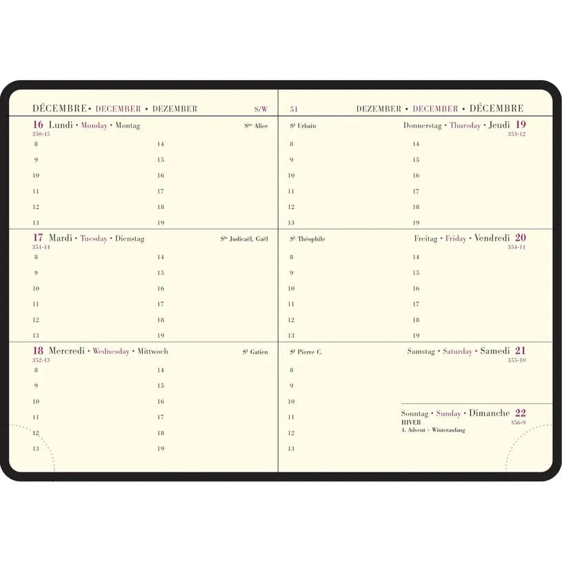 Agenda 2027 EXACOMPTA Semaine Planifiée 13 - 9 x 13 cm - 1 semaine sur 2 pages - Orientation horizontale - Sapporo chat - 3660942090896