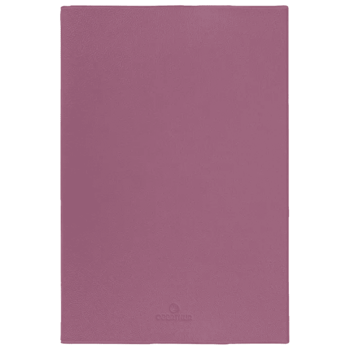 Agenda 2027 OBERTHUR Bristol - 10 x 15 cm - 1 semaine sur 2 pages - Orientation verticale - Rose - 3664447234564