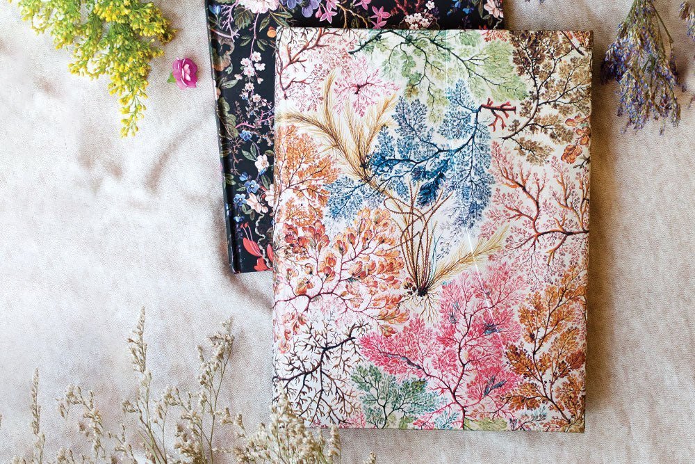 Agenda 2027 PAPERBLANKS Anémone - 1 semaine sur 2 pages - Midi - Hardcover - Vertical - 176p - 9780349720746