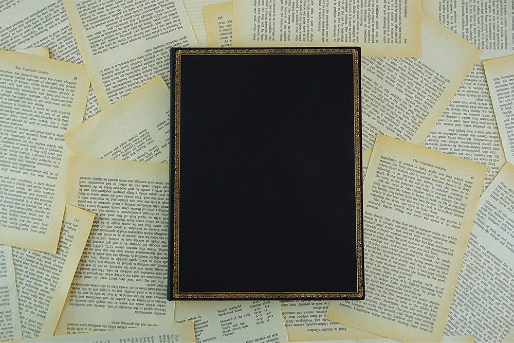 Agenda 2027 PAPERBLANKS Black Edition - 1 semaine sur 2 pages - Maxi - Hardcover - Horizontal - 176p - 9780349720845