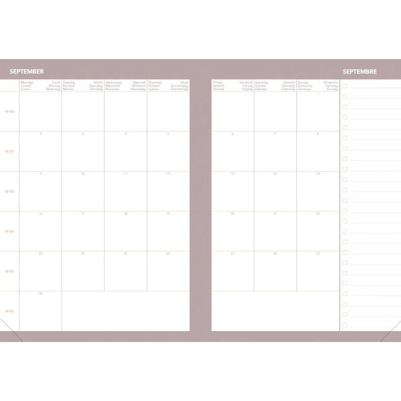 Agenda 2027 QUO VADIS Daily 21 Color - 13 x 21 cm - 1 jour par page - Orientation horizontale - Pastel pêche - 3371010544134