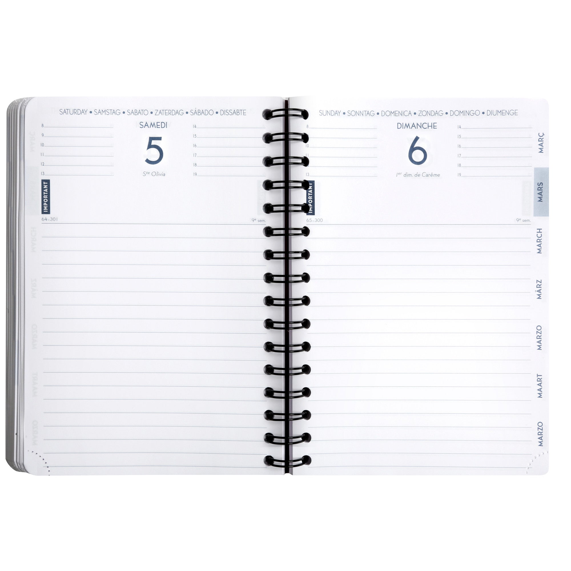 Agenda Scolaire 2024-2025 CLAIREFONTAINE Forum Office Age Bag - 1 jour par page - 15 x 21 cm - Bleu - 3660942084215