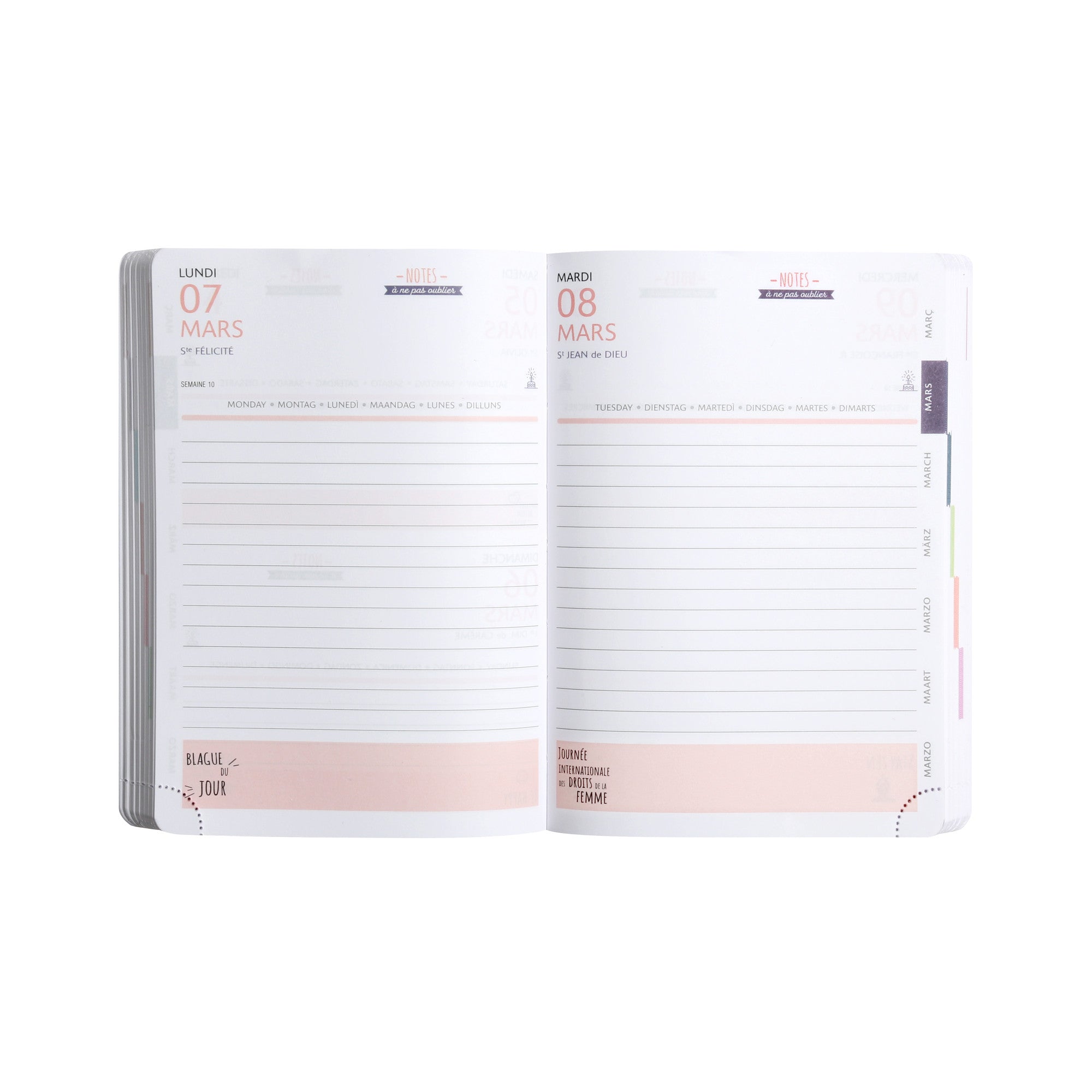 Agenda Scolaire 2024-2025 EXACOMPTA Forum Color Soft Harmony - 1 jour par page - 12 x 17 cm - Bleu - 3660942073424