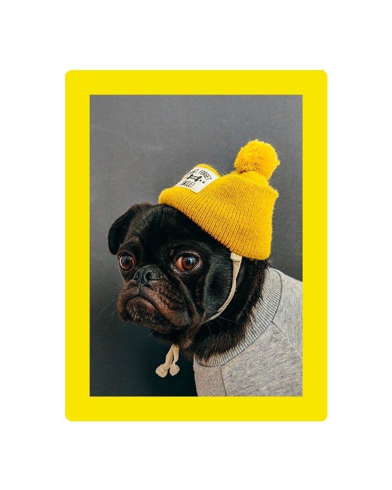 Cadre photo SLIMPYX adhésif - 10 x 15 cm - Jaune poussin - 