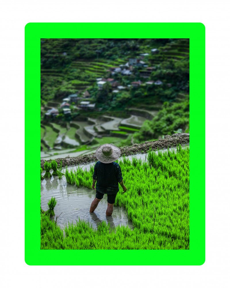 Cadre photo SLIMPYX adhésif - 13 x 18 cm - Vert fluo - 3683080259765