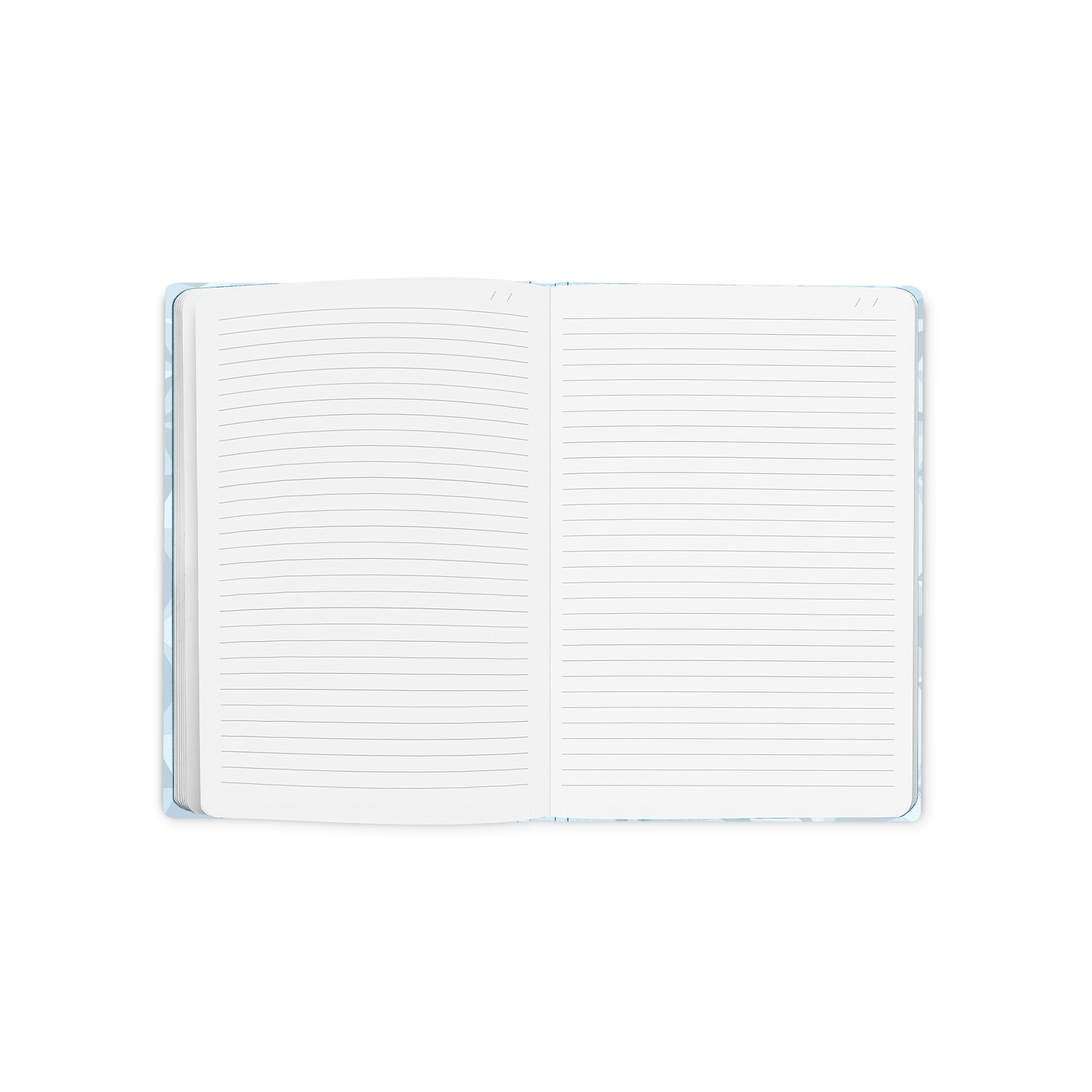 Carnet CARAN D'ACHE Alpine Frost - A5 - Hardcover - Ligné - 7630002362856