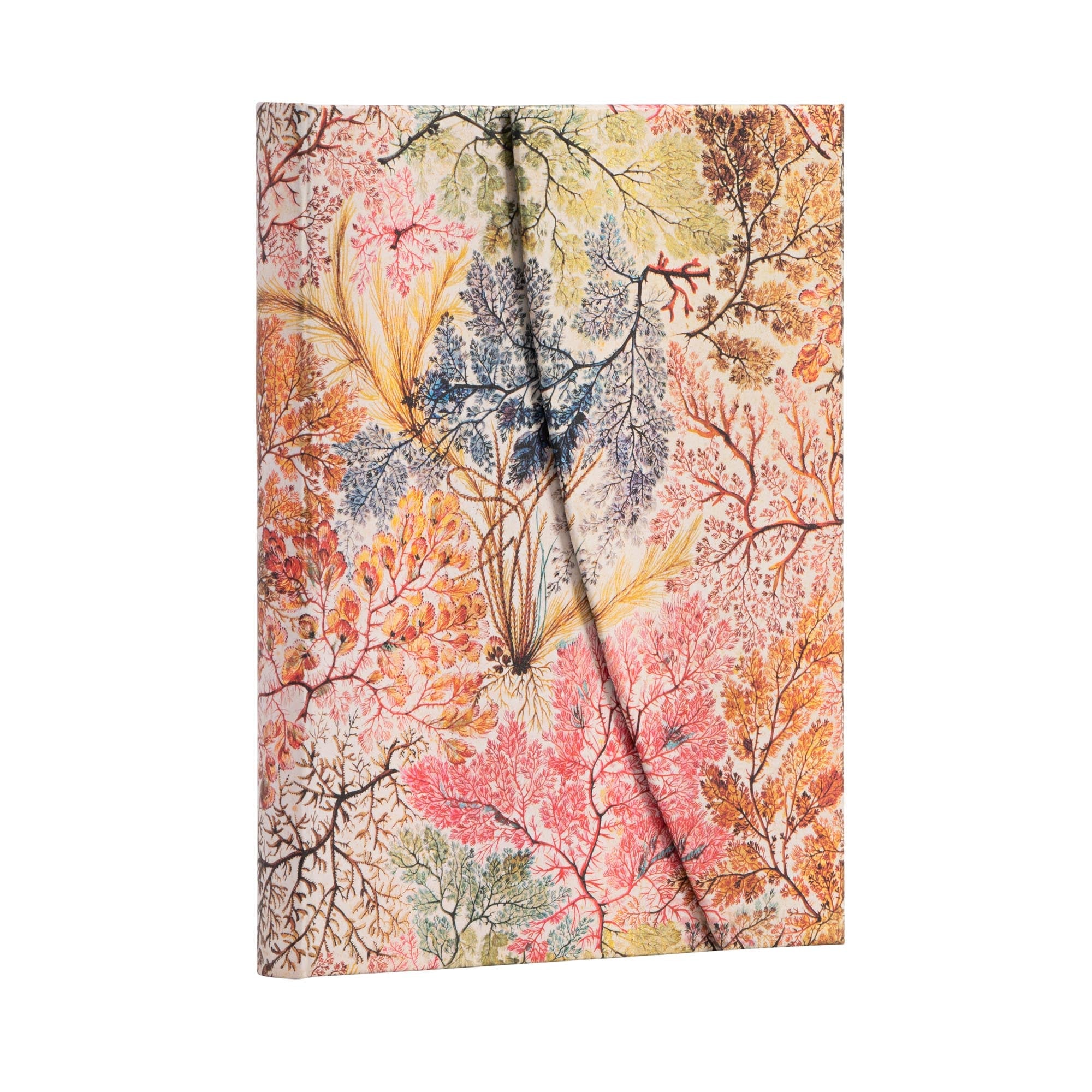 Carnet PAPERBLANKS Anémone - Midi - Hardcover - Ligné - 144p - 9781439772287