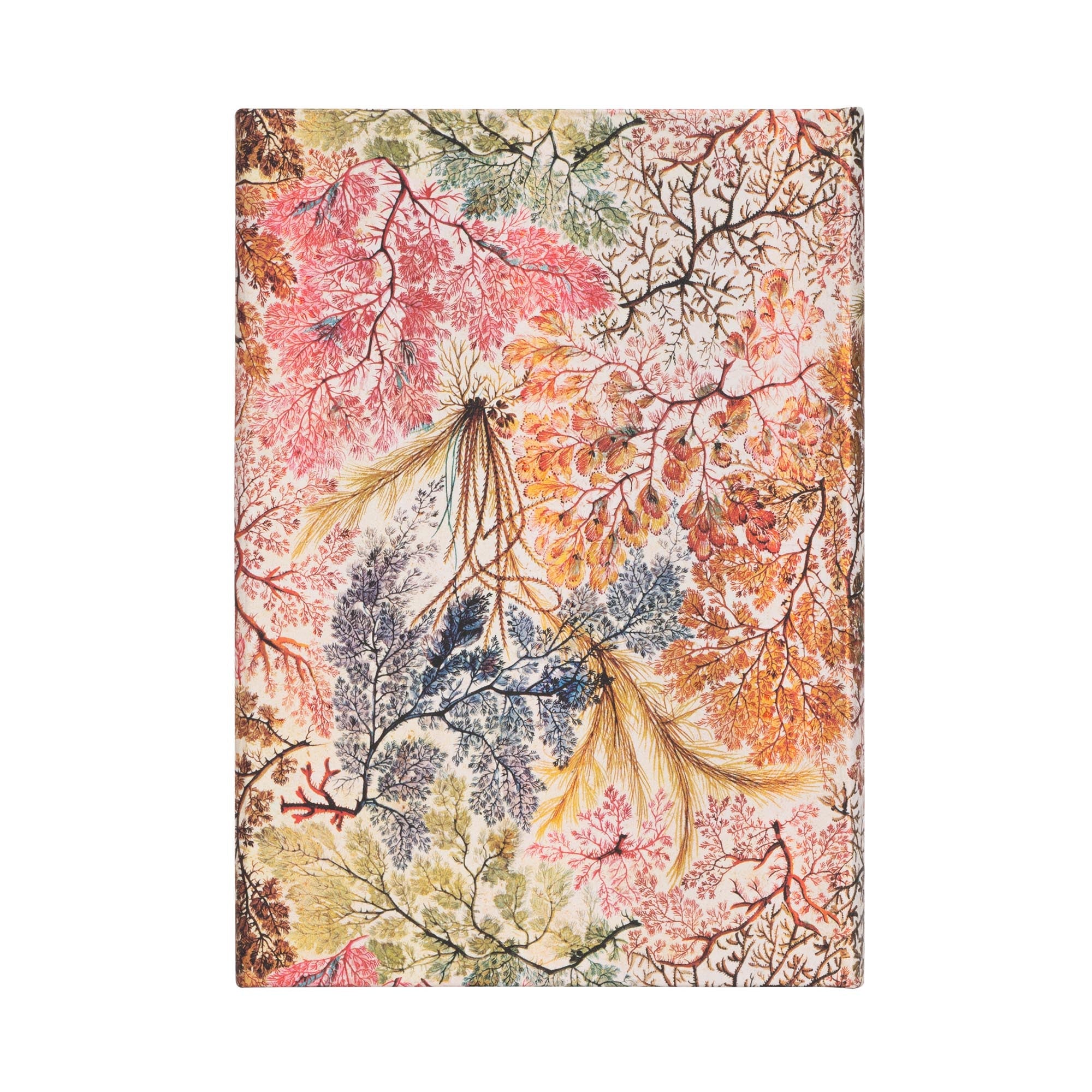 Carnet PAPERBLANKS Anémone - Midi - Hardcover - Ligné - 144p - 9781439772287