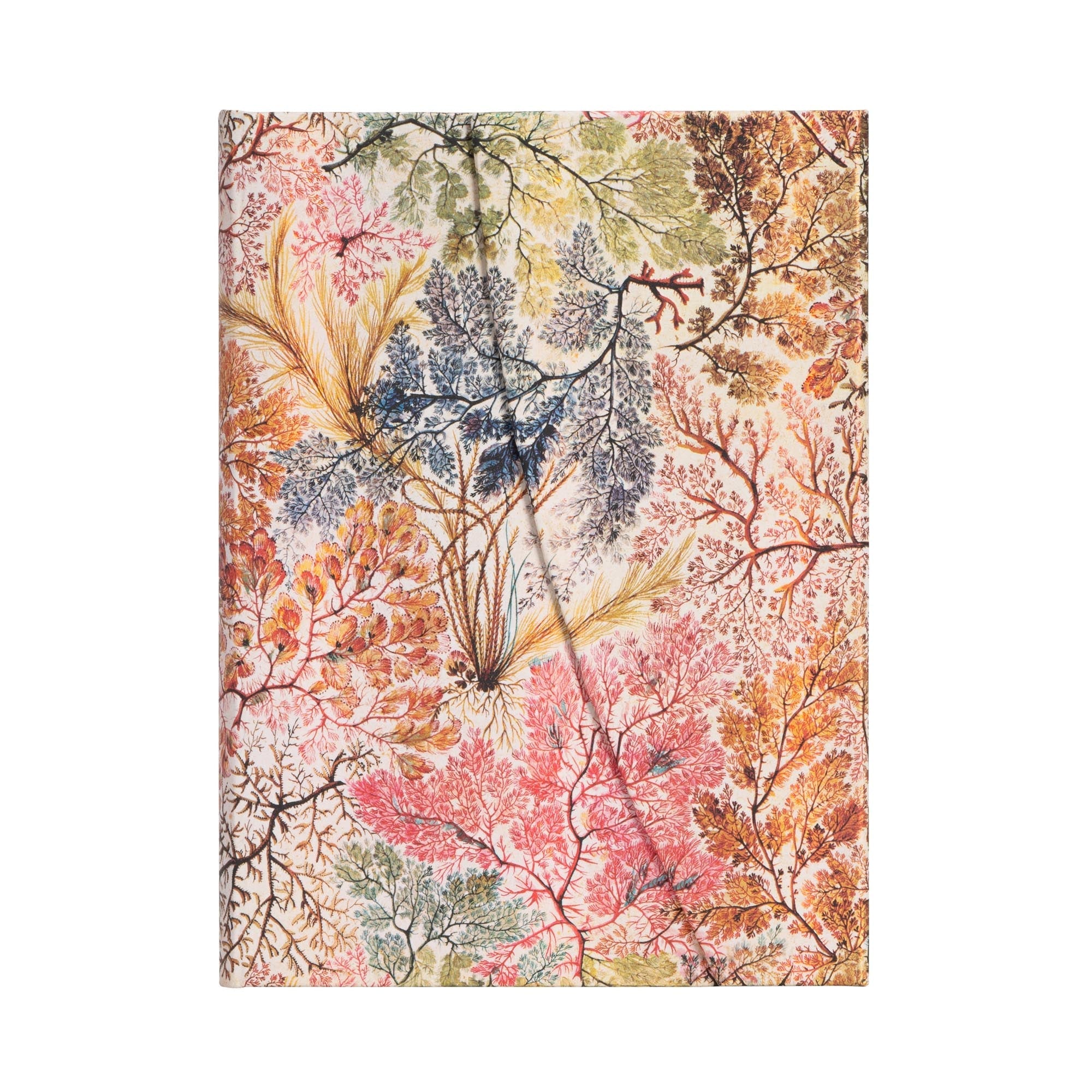 Carnet PAPERBLANKS Anémone - Midi - Hardcover - Ligné - 144p - 9781439772287