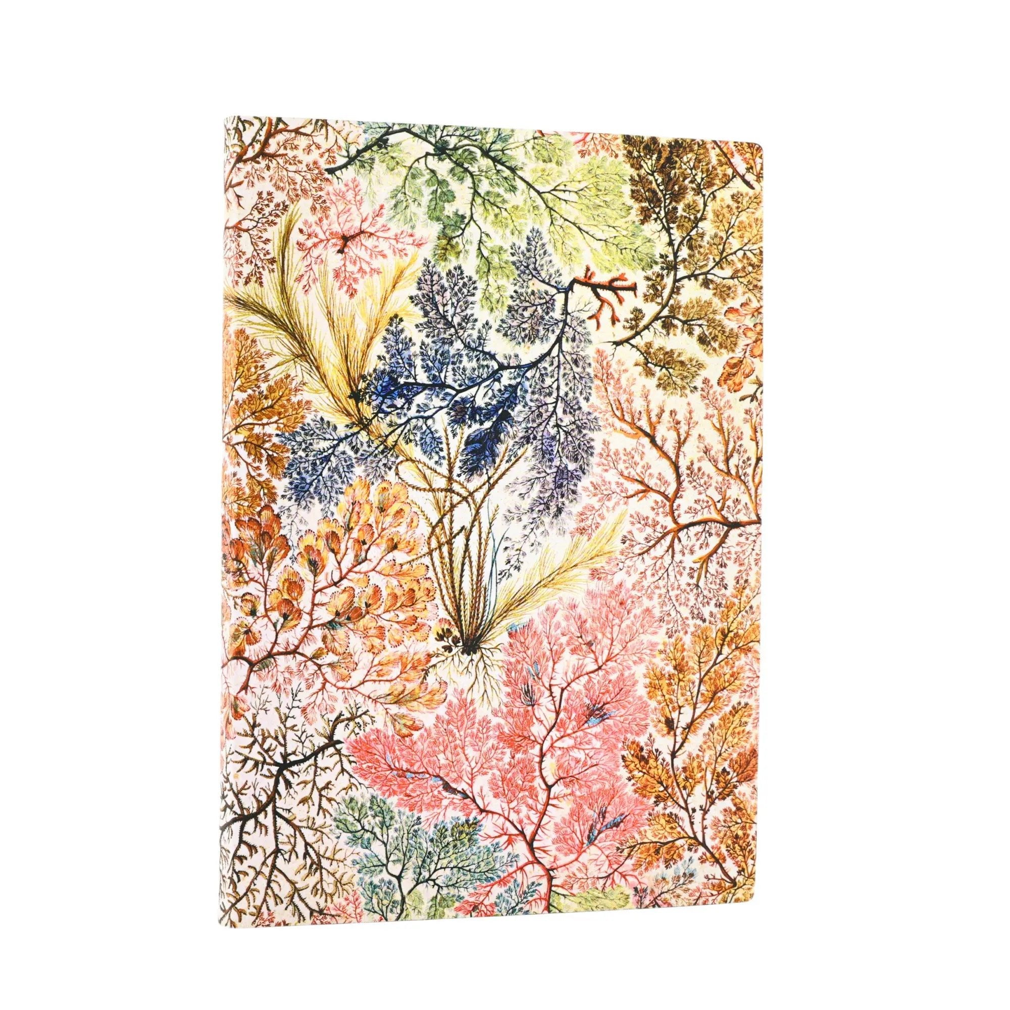 Carnet PAPERBLANKS Anémone - Midi - Softcover - Uni - 176p - 9781439799055