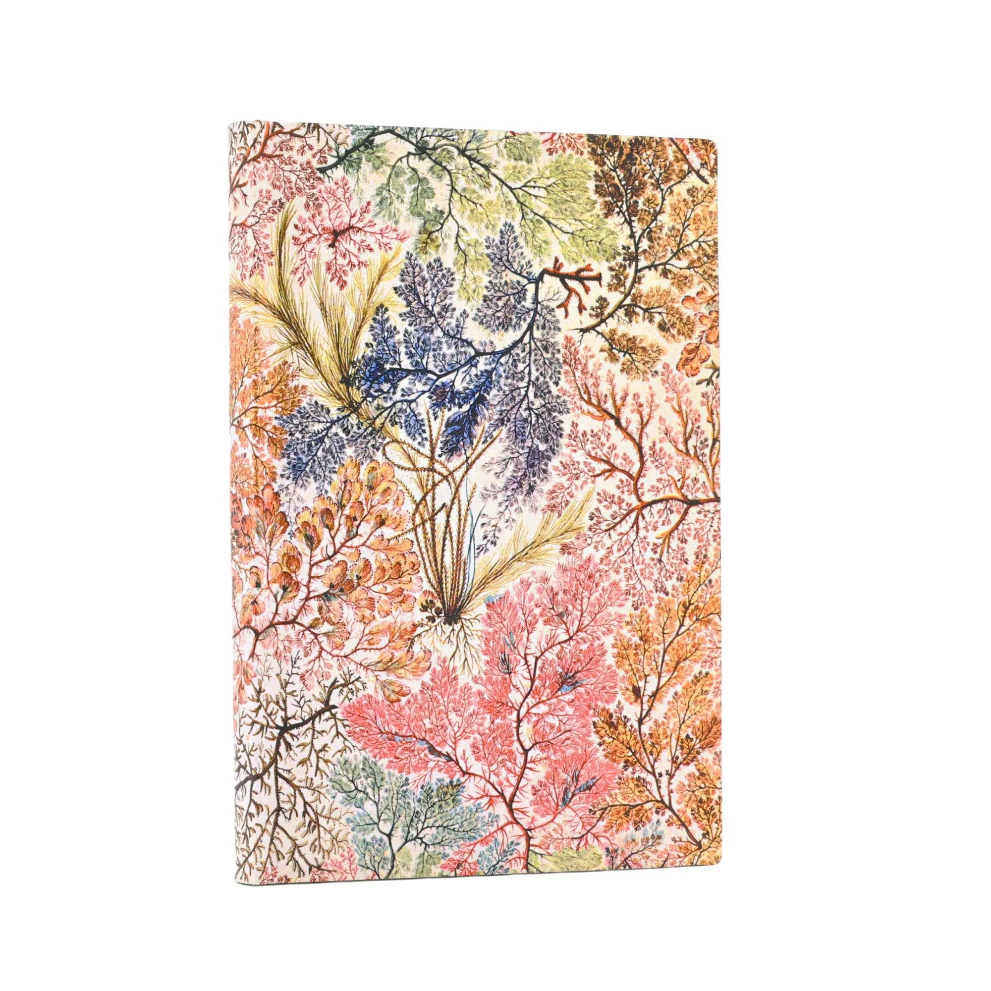Carnet PAPERBLANKS Anémone - Mini - Softcover - Uni - 208p - 9781439799079