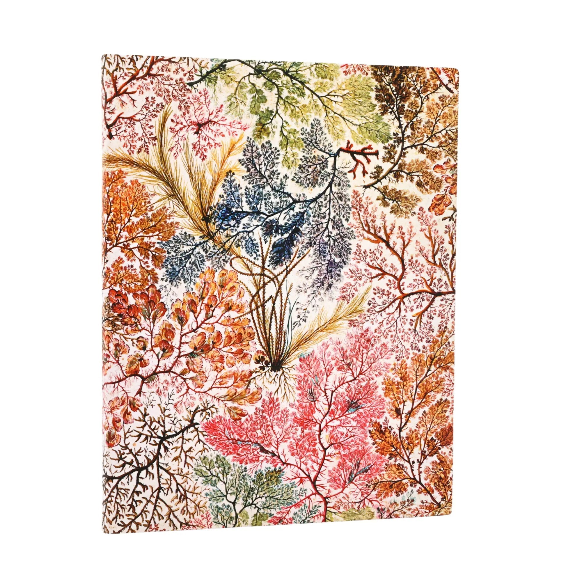 Carnet PAPERBLANKS Anémone - Ultra - Softcover - Ligné - 176p - 9781439799024