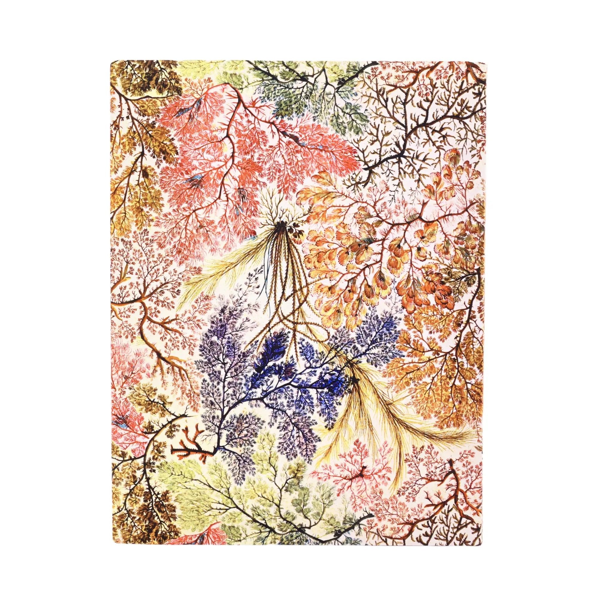 Carnet PAPERBLANKS Anémone - Ultra - Softcover - Ligné - 176p - 9781439799024