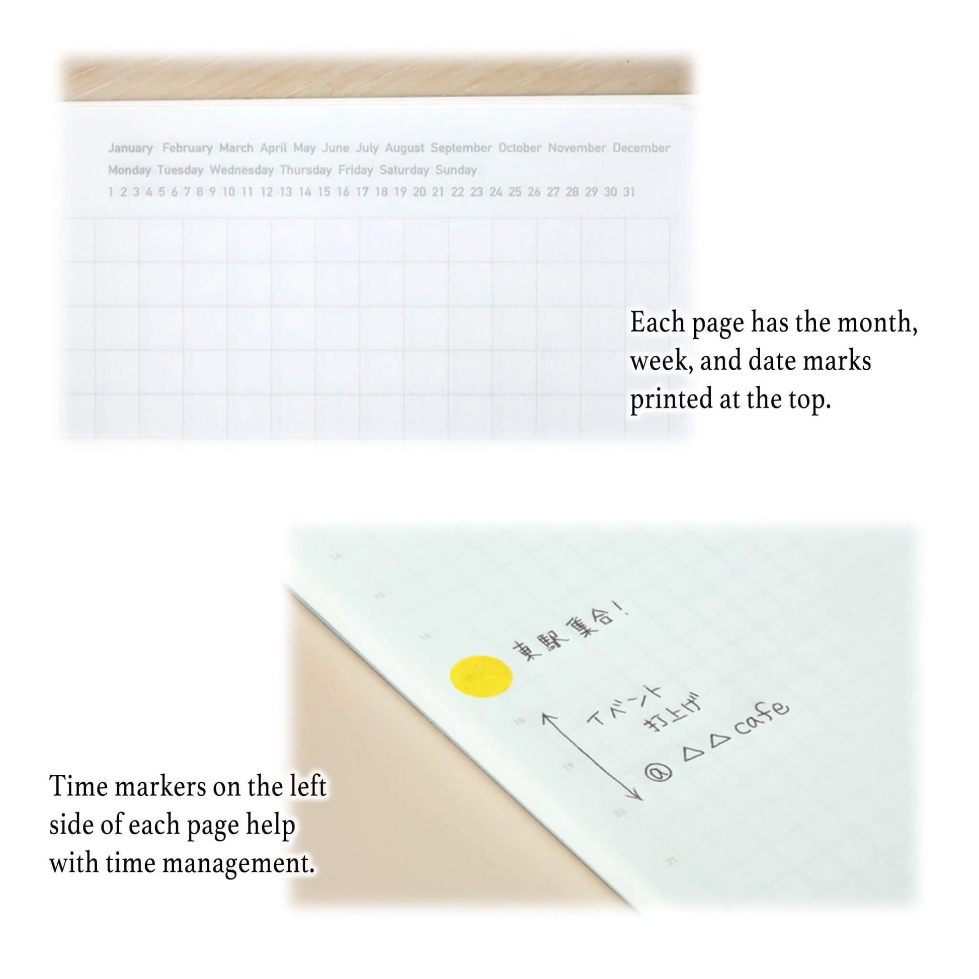 Carnet STÁLOGY 365Days Notebook - A5 - Softcover - Quadrillé - Blue - 4904140081065