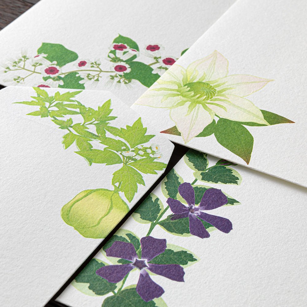 Enveloppes MIDORI washi - 188 x 90 mm - Fleurs d'Été - 4902805871709