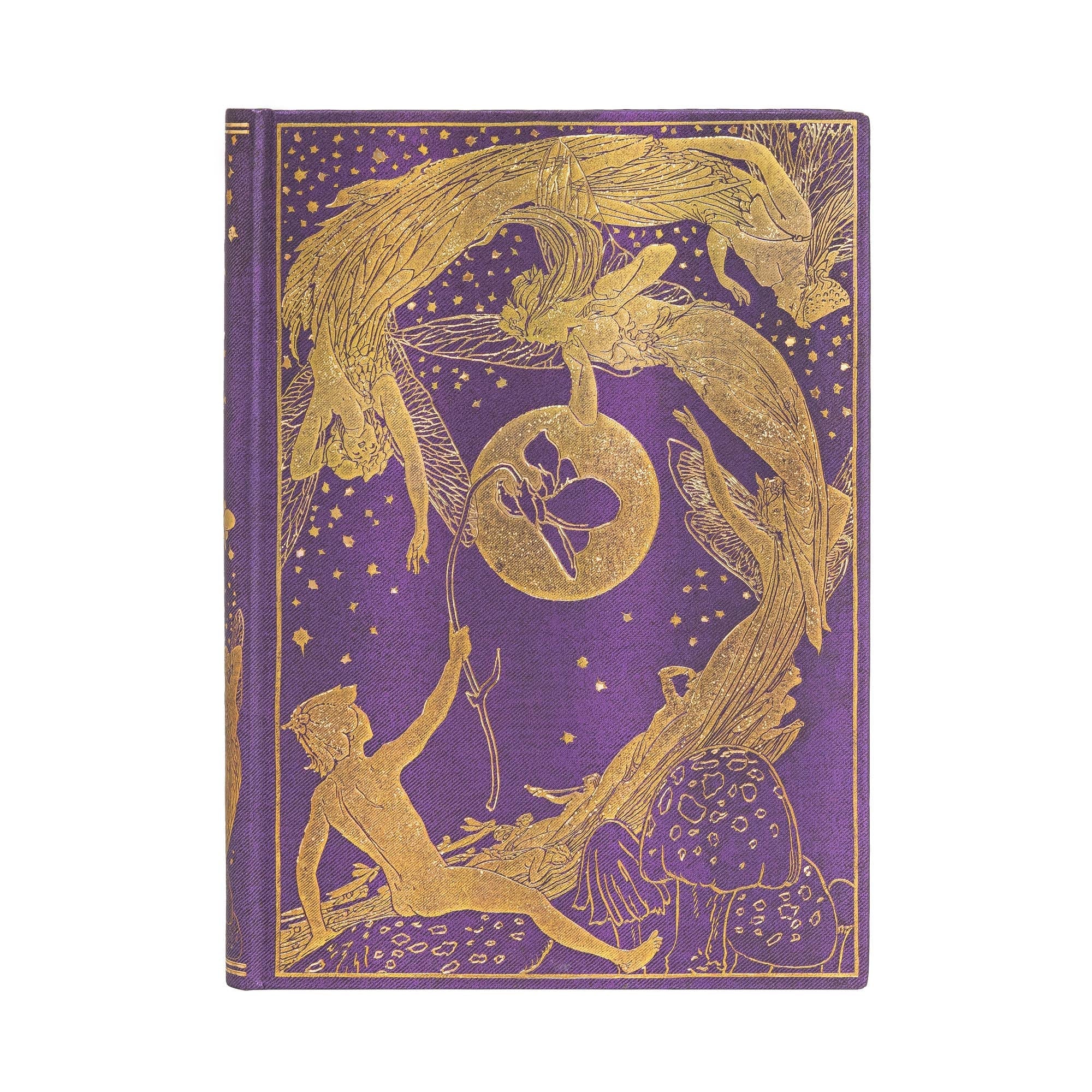 Fée Violette - Midi Rigide 144p - Ligné - Illustré - 9781439765128