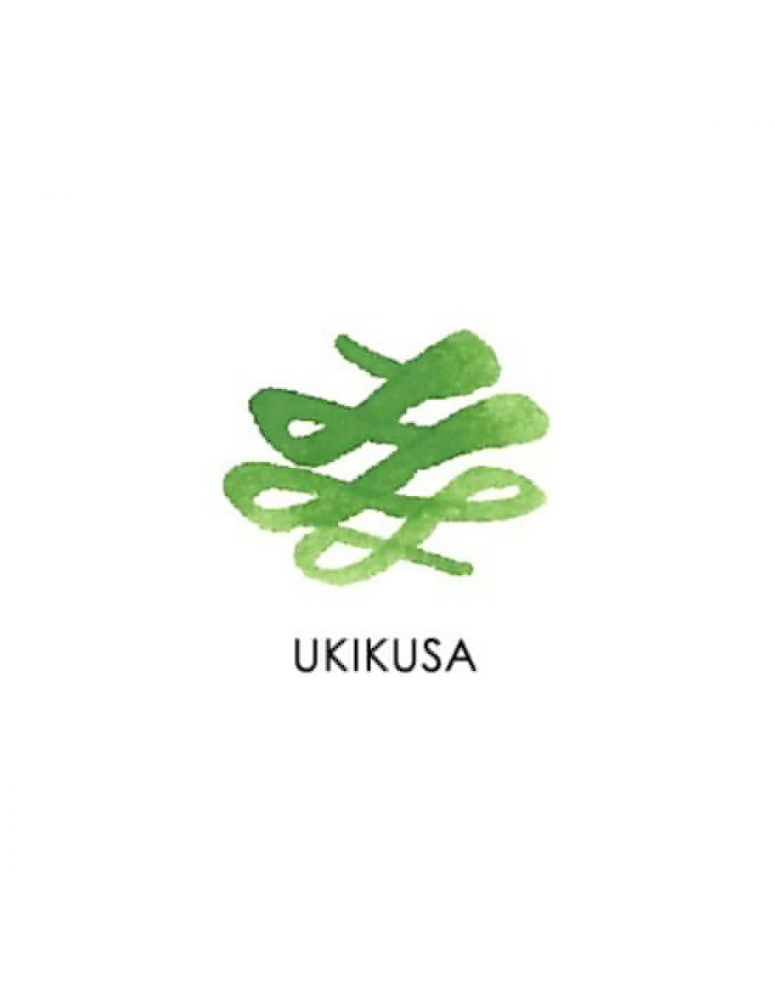 Flacon d'encre SAILOR Manyo - Ukikusa - 50 ml - 4901680189992