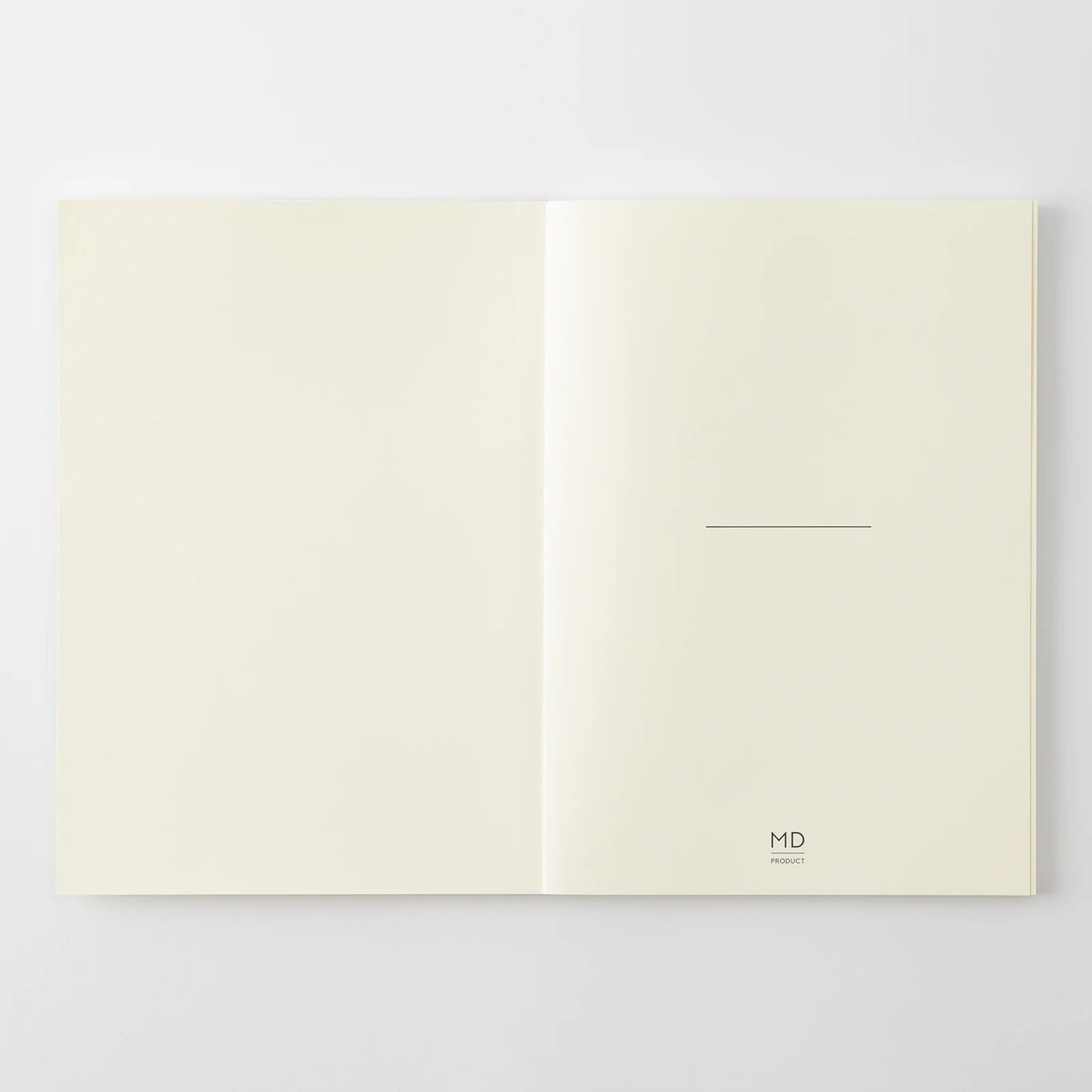 Agenda 2027 MD Notebook Diary Thin - A5
