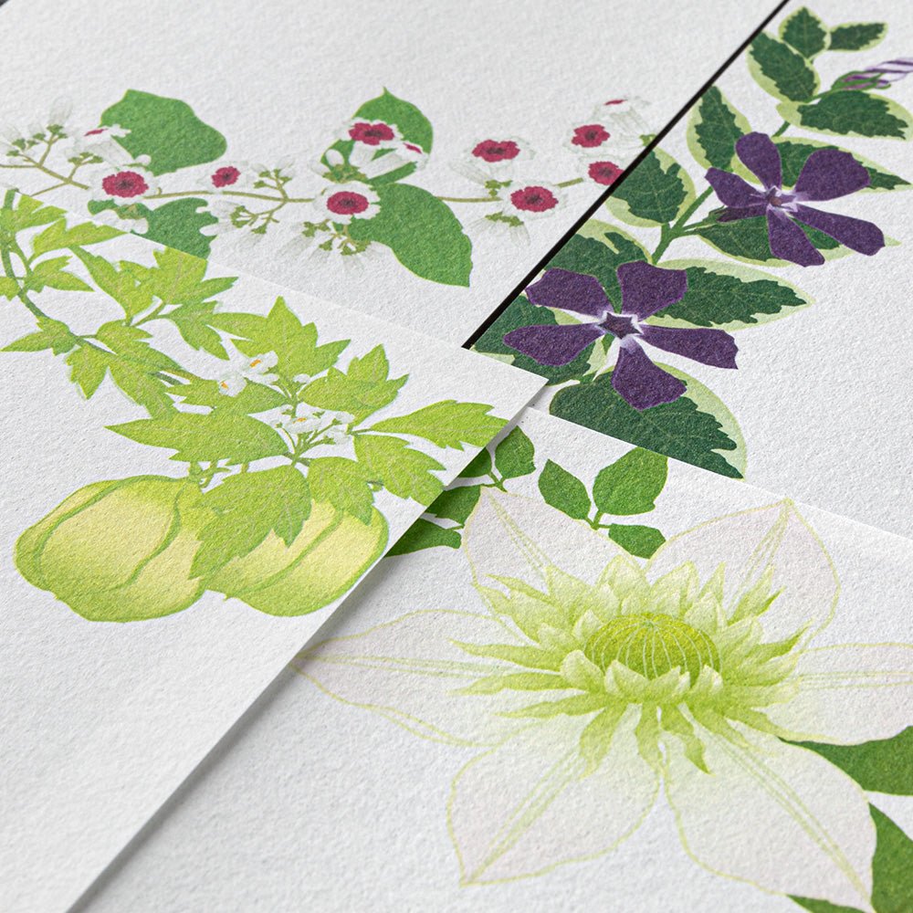 Papier à lettres MIDORI washi - 177 x 84 mm - Fleurs d'Été - 4902805895873