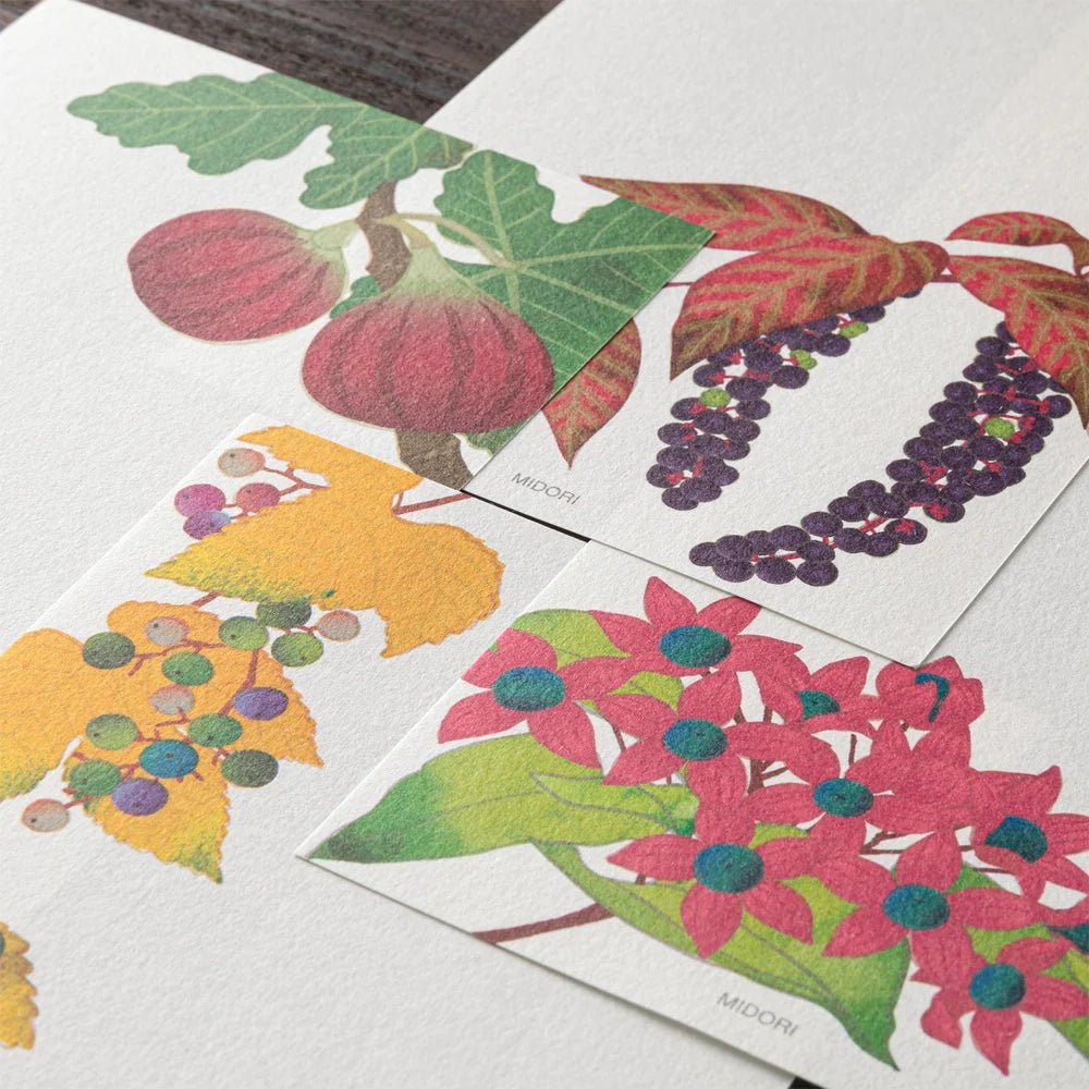 Papier à lettres MIDORI washi - 177 x 84 mm - Fruits d’automne - 4902805896092