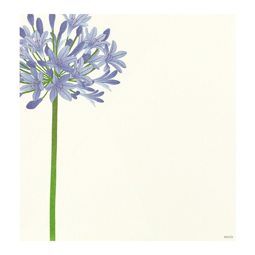 Papier à lettres washi MIDORI Fleurs d'Été - 17.7 x 16.8 cm - Illustré - 4902805871334