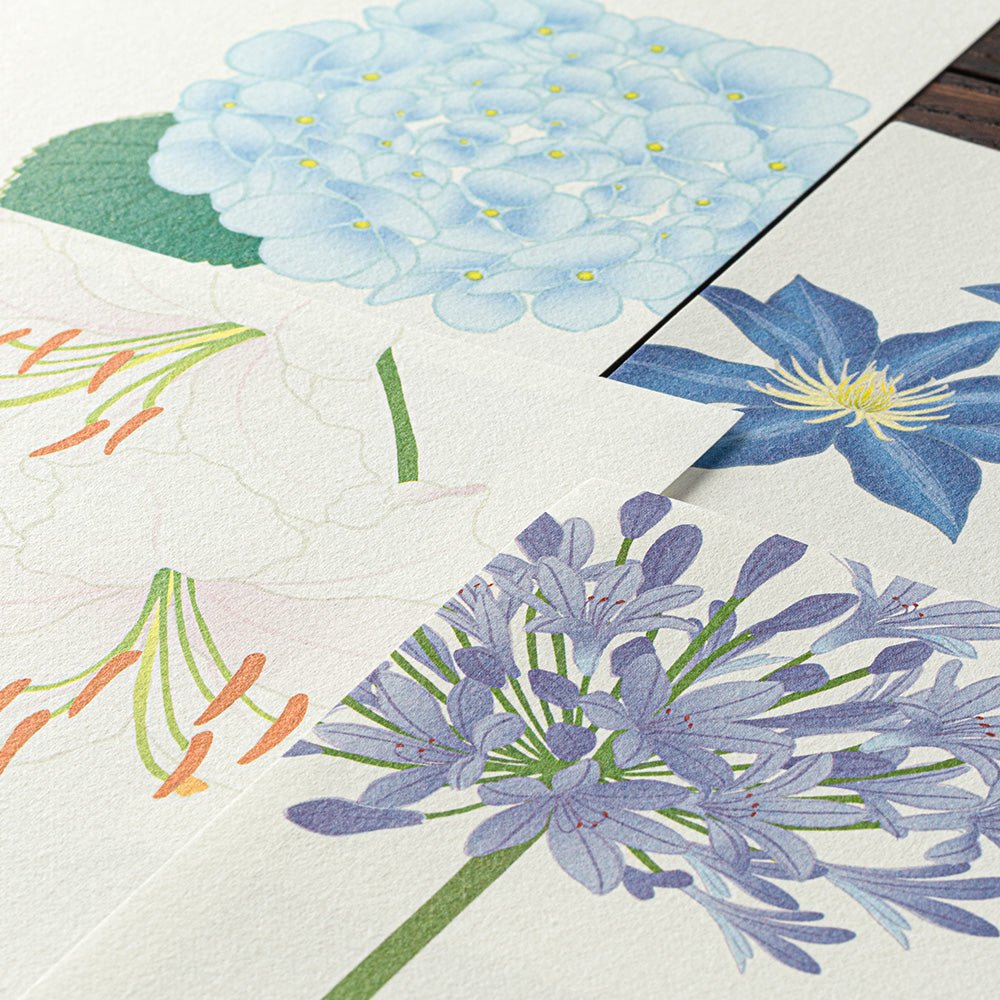 Papier à lettres washi MIDORI Fleurs d'Été - 17.7 x 16.8 cm - Illustré - 4902805871334