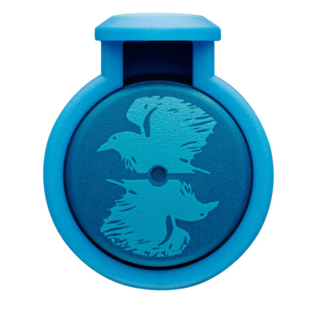 Stylo plume LAMY Nexx Édition Spéciale Harry Potter - Serdaigle - Medium (M) - 