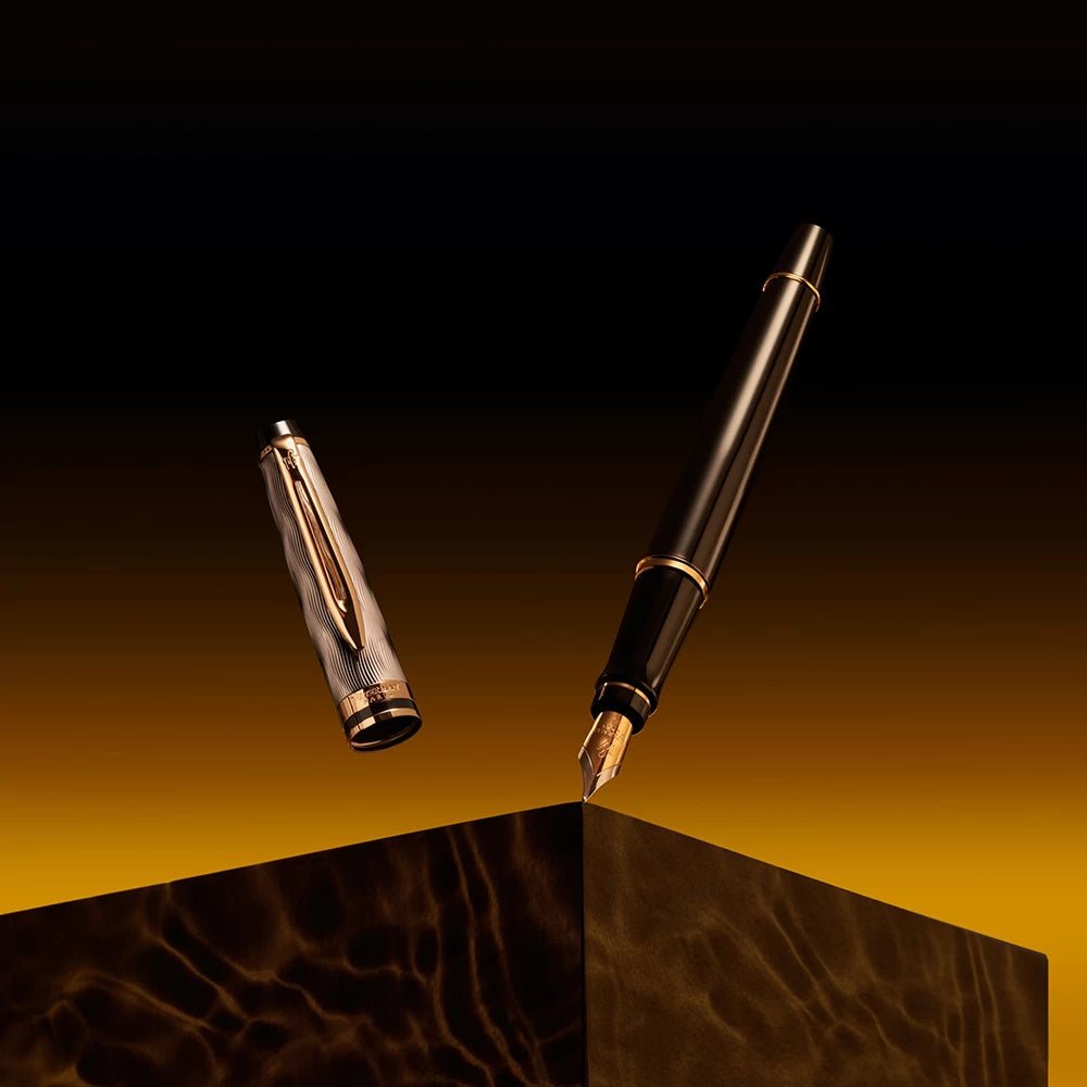 Stylo plume WATERMAN Expert Reflets de Paris - Fine (F) - Noir - -