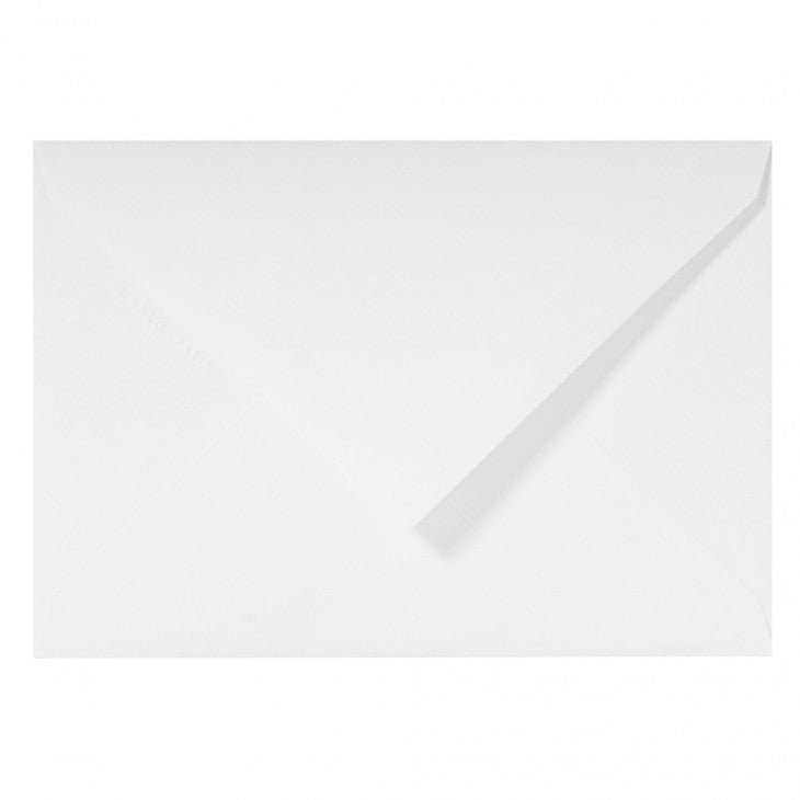 25 enveloppes Vergé de France format C5 - 16.2 x 22.9 cm - 100 g/m² - Extra-blanc - 3140290208506
