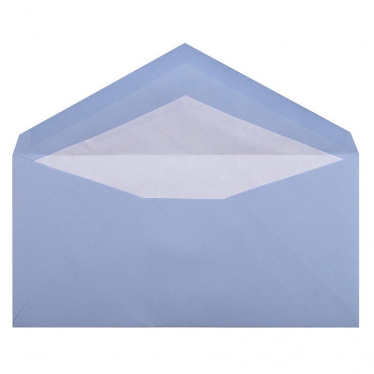 25 enveloppes Vergé de France format DL - 11 x 22 cm - 100 g/m² - Bleu - 3140290227026