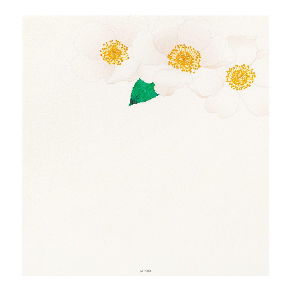 Camélia Sasanqua - Papier à lettres, grand format - 17.7 x 16.8 cm - Blanc - Illustré - 4902805871174