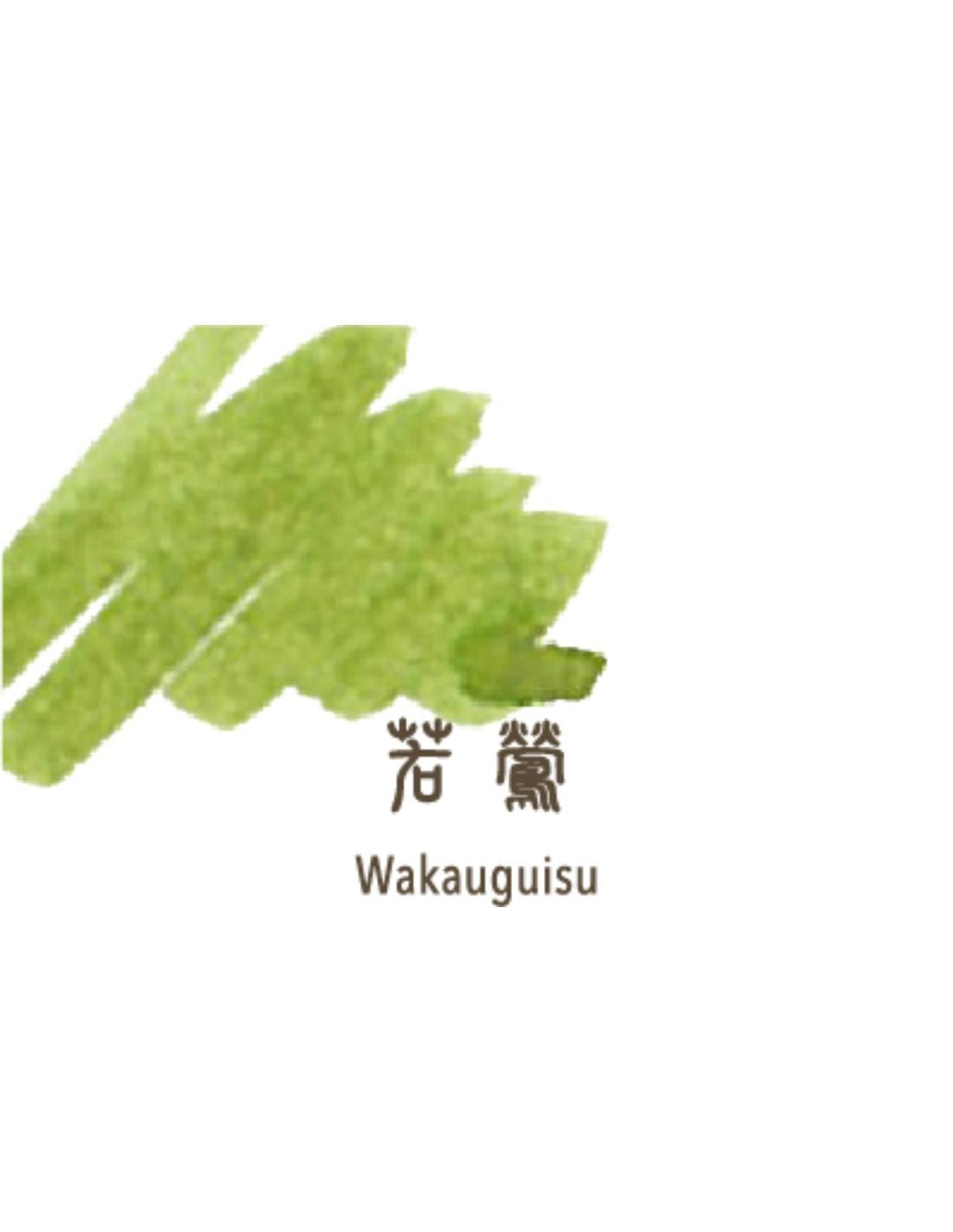 Flacon d'encre SAILOR Shikiori - 20 ml - Wakauguisu - 4901680184713