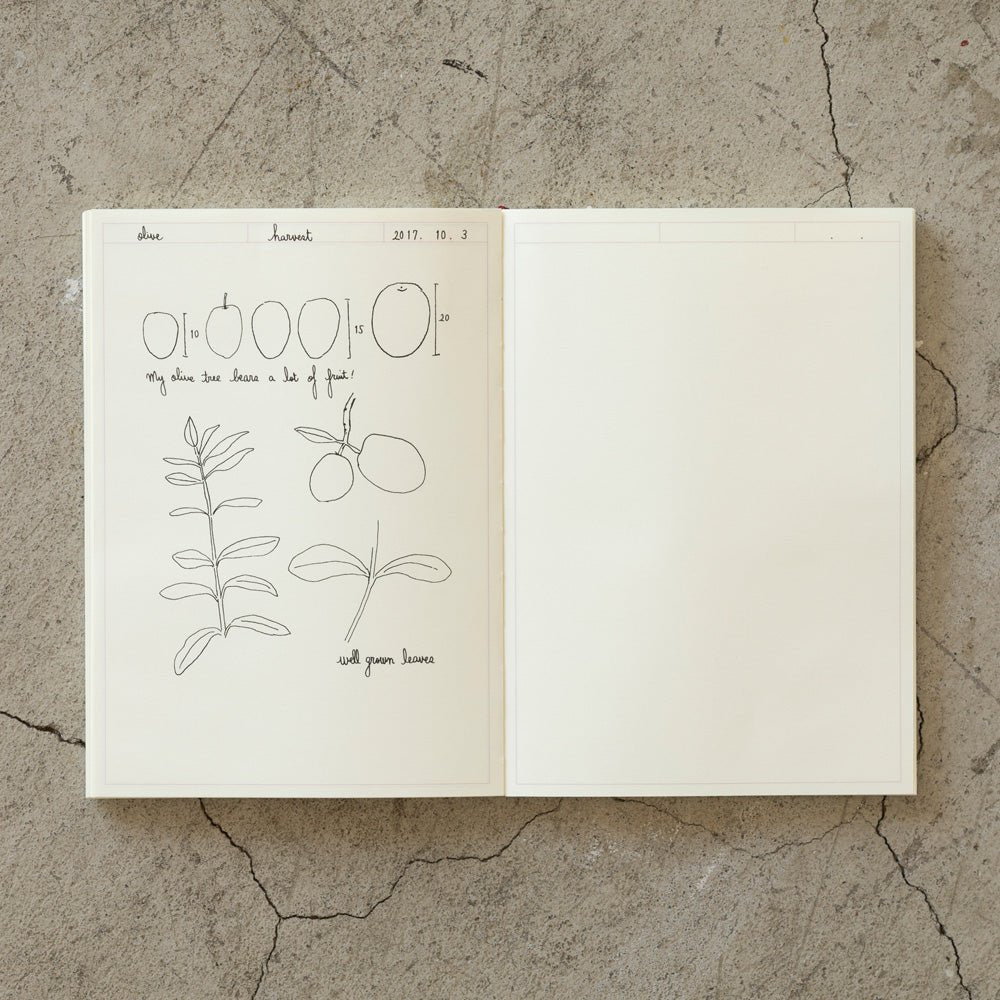 MD Paper Notebook Journal - A5 - Pointillé - Blanc - 4902805152594