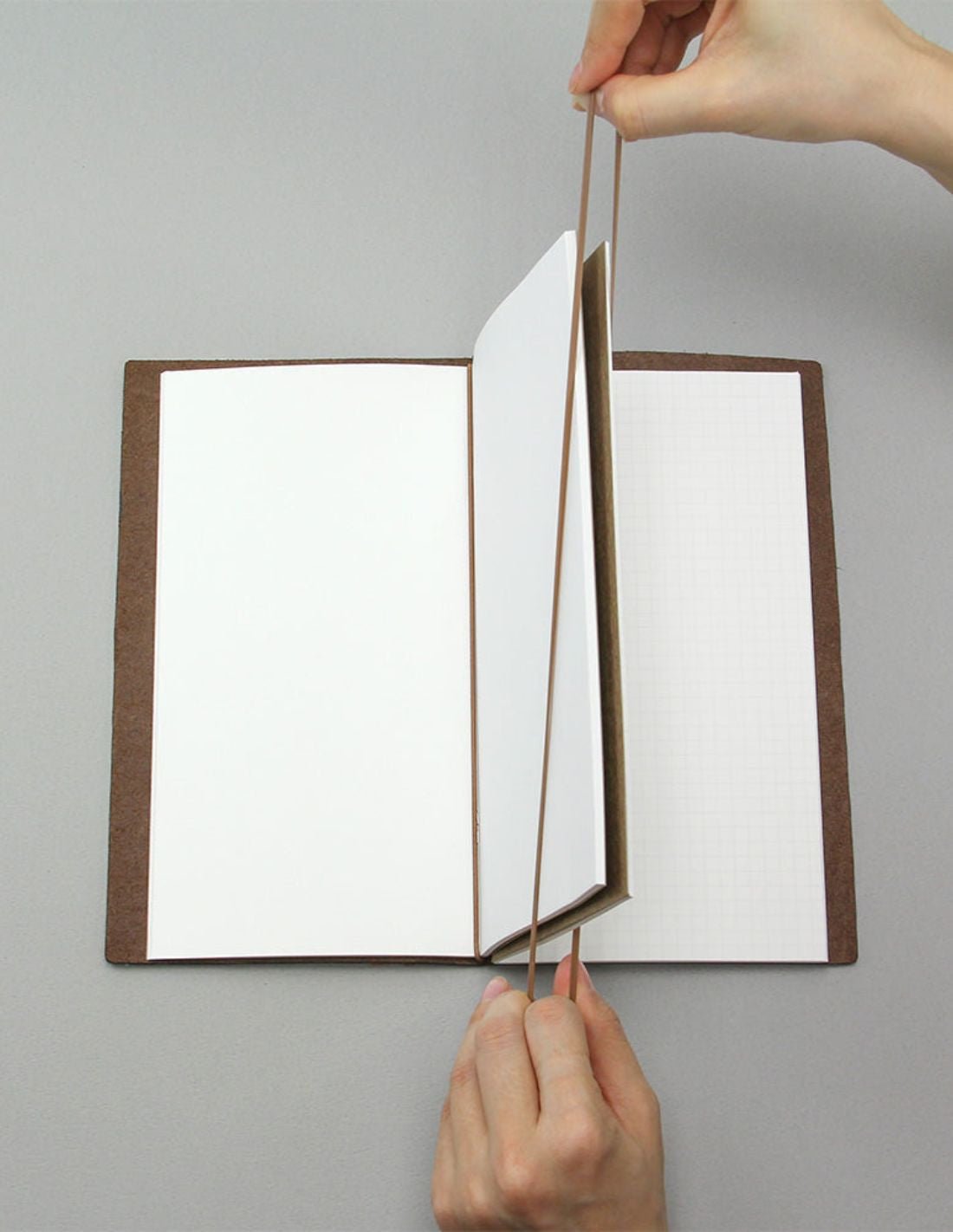 TRAVELER'S notebook 011 - bandes élastiques (passport size) - TN Passport size - - 4902805143356